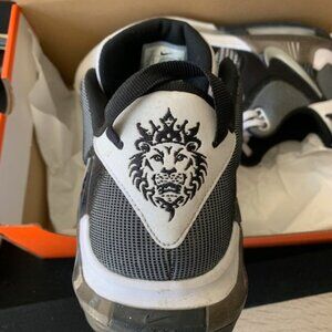 NIKE LaBron Witness VII